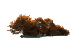 Green forest isolated on background. 3d rendering - illustration png