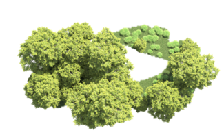 verde bosque aislado en antecedentes. 3d representación - ilustración png