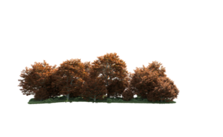 Grün Wald isoliert auf Hintergrund. 3d Rendern - - Illustration png