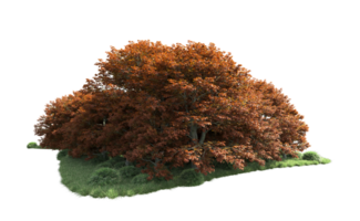 Green forest isolated on background. 3d rendering - illustration png