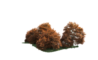 Green forest isolated on background. 3d rendering - illustration png