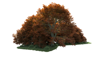 vert forêt isolé sur Contexte. 3d le rendu - illustration png