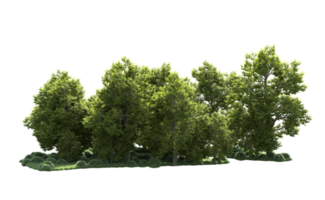 vert forêt isolé sur Contexte. 3d le rendu - illustration png