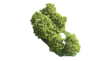 verde bosque aislado en antecedentes. 3d representación - ilustración png