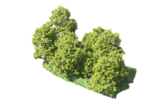 verde bosque aislado en antecedentes. 3d representación - ilustración png