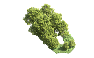 verde bosque aislado en antecedentes. 3d representación - ilustración png