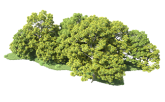 verde bosque aislado en antecedentes. 3d representación - ilustración png