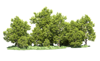 verde bosque aislado en antecedentes. 3d representación - ilustración png