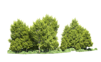 Green forest isolated on background. 3d rendering - illustration png