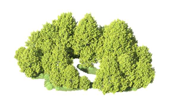 grön skog isolerat på bakgrund. 3d tolkning - illustration png