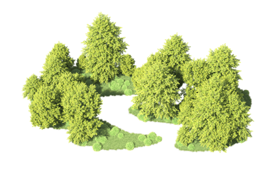 grön skog isolerat på bakgrund. 3d tolkning - illustration png