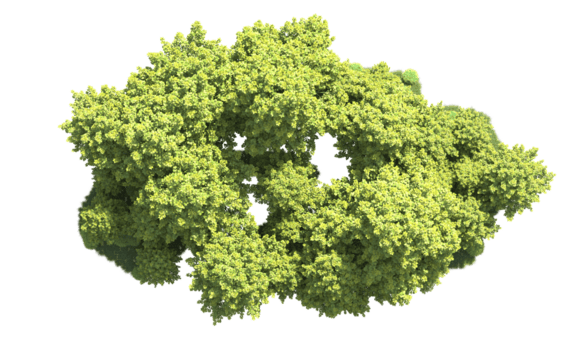 grön skog isolerat på bakgrund. 3d tolkning - illustration png