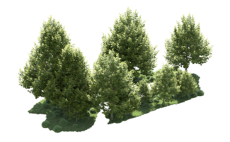 Green forest isolated on background. 3d rendering - illustration png