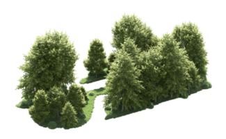 Green forest isolated on background. 3d rendering - illustration png