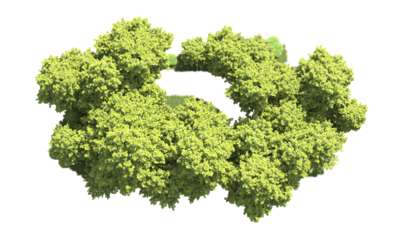 grön skog isolerat på bakgrund. 3d tolkning - illustration png