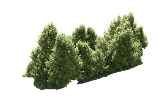 grön skog isolerat på bakgrund. 3d tolkning - illustration png