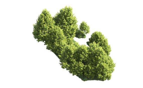 grön skog isolerat på bakgrund. 3d tolkning - illustration png