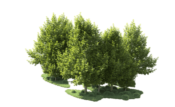 grön skog isolerat på bakgrund. 3d tolkning - illustration png