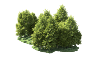 Green forest isolated on background. 3d rendering - illustration png