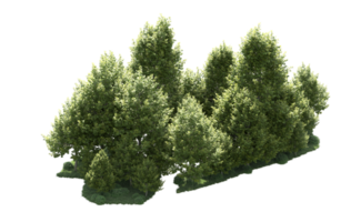 Green forest isolated on background. 3d rendering - illustration png