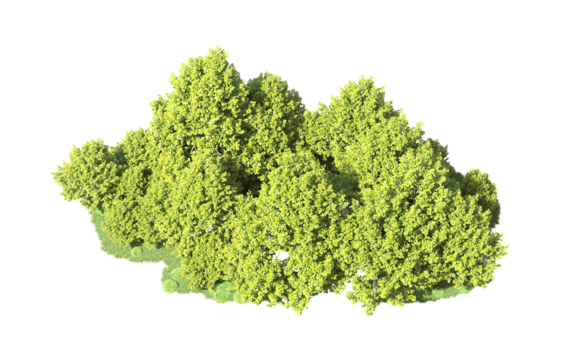 grön skog isolerat på bakgrund. 3d tolkning - illustration png