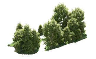 Green forest isolated on background. 3d rendering - illustration png