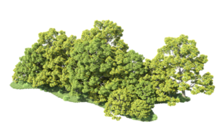 verde bosque aislado en antecedentes. 3d representación - ilustración png