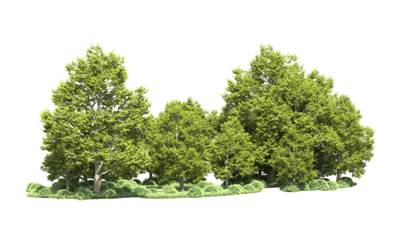 grön skog isolerat på bakgrund. 3d tolkning - illustration png