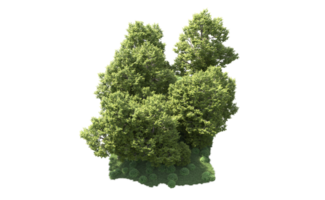 verde bosque aislado en antecedentes. 3d representación - ilustración png
