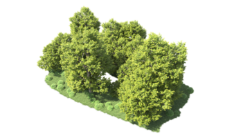 Green forest isolated on background. 3d rendering - illustration png