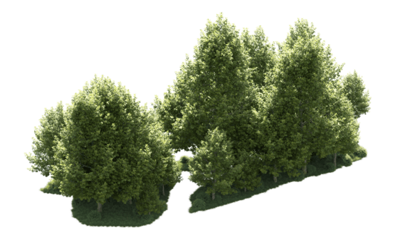 grön skog isolerat på bakgrund. 3d tolkning - illustration png