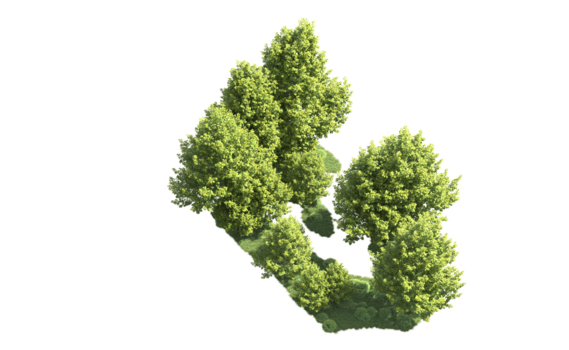 grön skog isolerat på bakgrund. 3d tolkning - illustration png