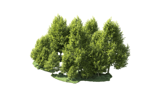 grön skog isolerat på bakgrund. 3d tolkning - illustration png