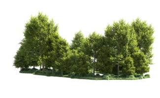 Green forest isolated on background. 3d rendering - illustration png