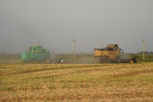Soy harvesting by combines in the field. photo