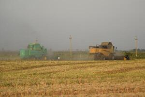 soja cosecha por combina en el campo. foto