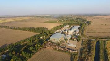 Rice plant. Hangar for storage of grain. A platform for drying and sintering grain. Harvested grain photo