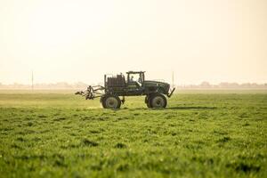 tractor en el puesta de sol antecedentes. tractor con alto ruedas es haciendo fertilizante en joven trigo. el utilizar de finamente disperso rociar productos quimicos foto