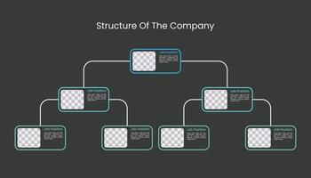 Structure of The Company template design. vector