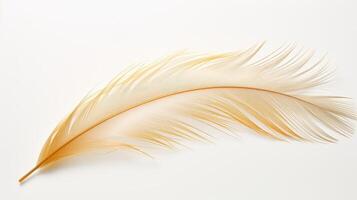 AI generated golden feather isolated against a plain white background. photo
