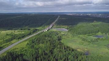 Top view of bridge passing through in forest. Clip. Highway passes through swamp in forest to city on horizon. Traffic on rural highway in cloudy weather video