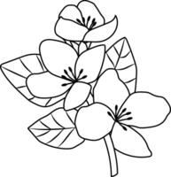 floral elementos hojas flores sucursales. sencillo vector ilustración con naranja mano dibujado tropical flores y hojas en un ligero coral antecedentes. moderno resumen exótico jardín diseño.