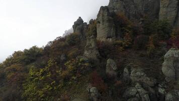 Side of mountain. Shot. Top view of rock slope with colourful trees in autumn. Fascinating view of slope in thick fog video