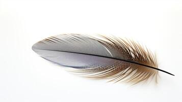 AI generated a single bird feather isolated against a white background photo