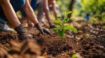 AI generated Global Warming people planting young trees in soil environment activity photo