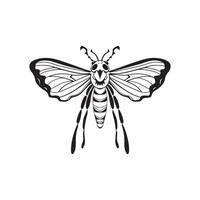 Insect Vector Art, Icons, and Graphics