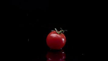 tomate lento movimiento de cerca que cae en agua con chapoteo gotas en negro antecedentes macro Disparo Cocinando vídeo video