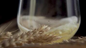 pouring beer into the glass, detail of beer glass with wheat and barley 4K video