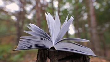 Open book in the forest. The concept of learning, reading, and knowledge. Close-up. Blurred background. 4k video