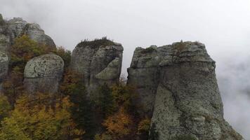 Visualizza vicino pietra pilastro di scogliera. sparo. superiore Visualizza di pietra pilastro di roccia con si avvicina di spessore nebbia. autunno paesaggio con colorato arbusti e denso grigio nebbia su montagna video